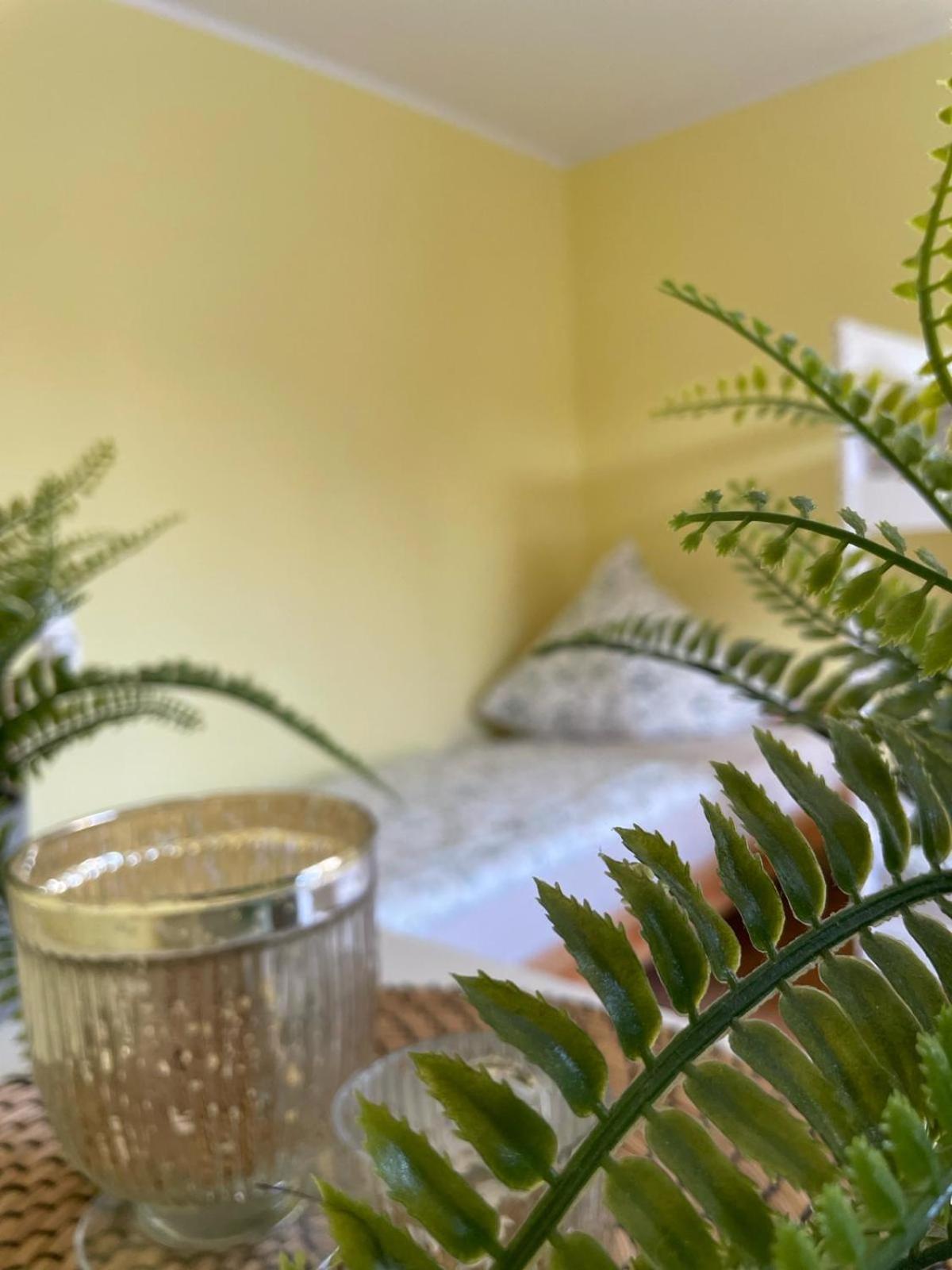 Modernes Apartment Im Gruenen, Mit Park- Und Meer-Naehe Bad Zwischenahn Buitenkant foto