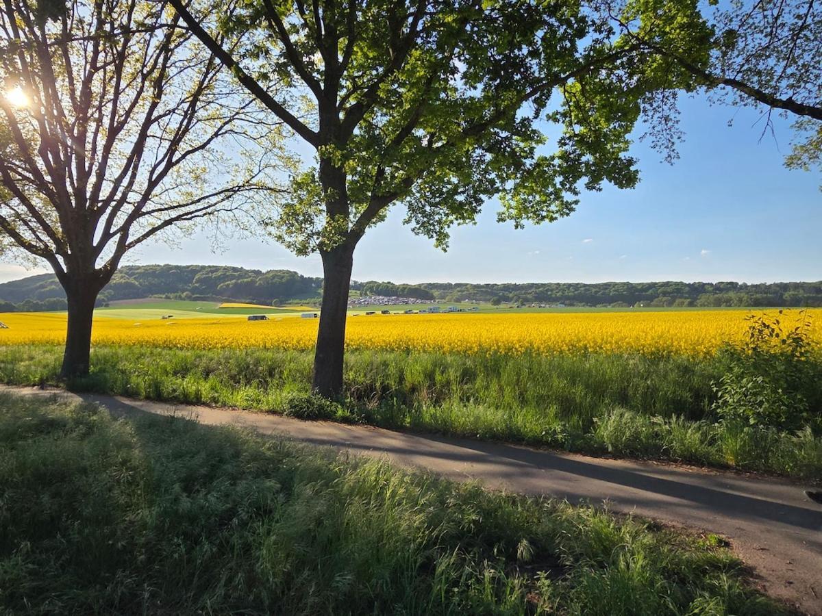 Modernes Apartment Im Gruenen, Mit Park- Und Meer-Naehe Bad Zwischenahn Buitenkant foto
